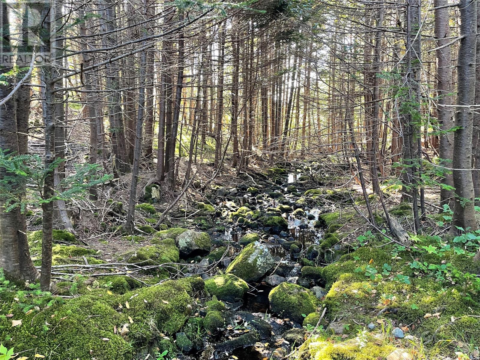 1 Wades Farm Road, Flatrock, NL