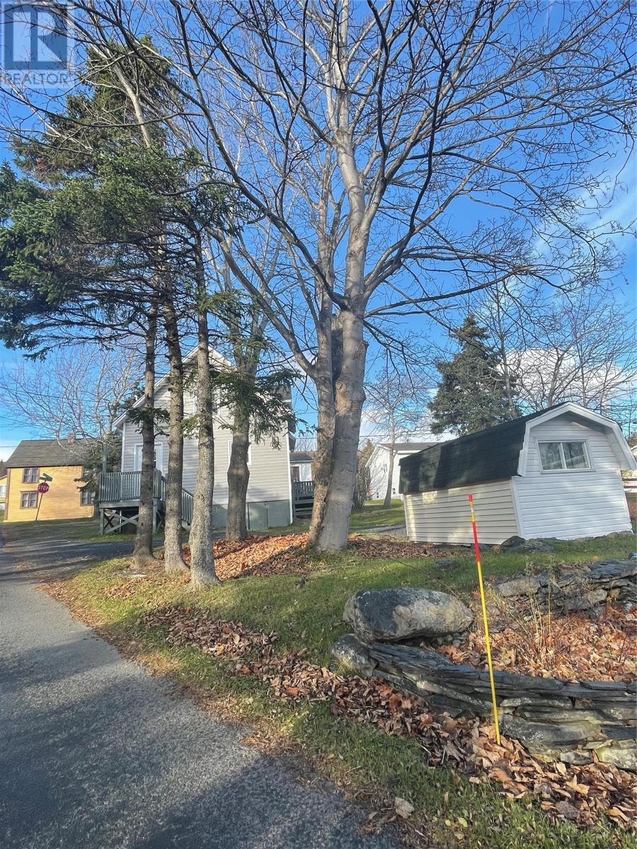 31 Irishtown Road, Carbonear, NL - Outdoor With View