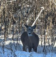 Nature at Doorstep!! -