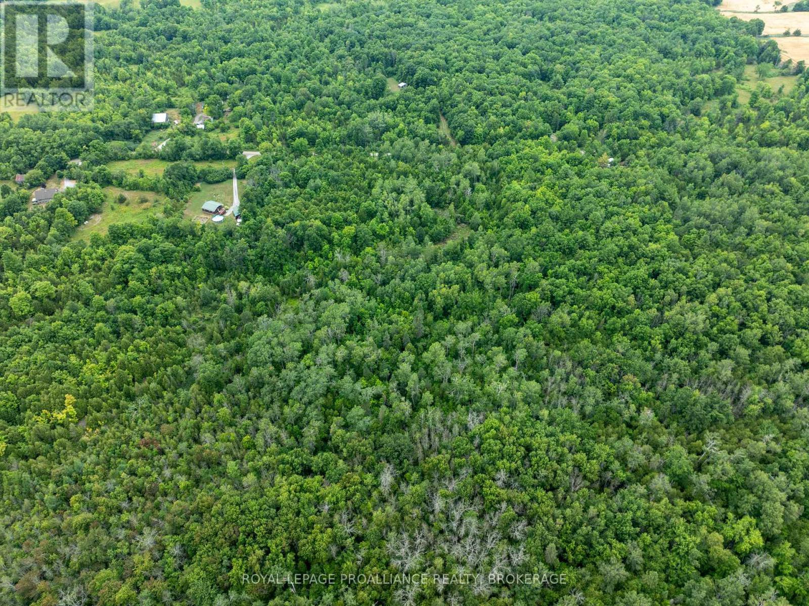 Pt Lt 14 Henderson Road, Greater Napanee (Greater Napanee), ON