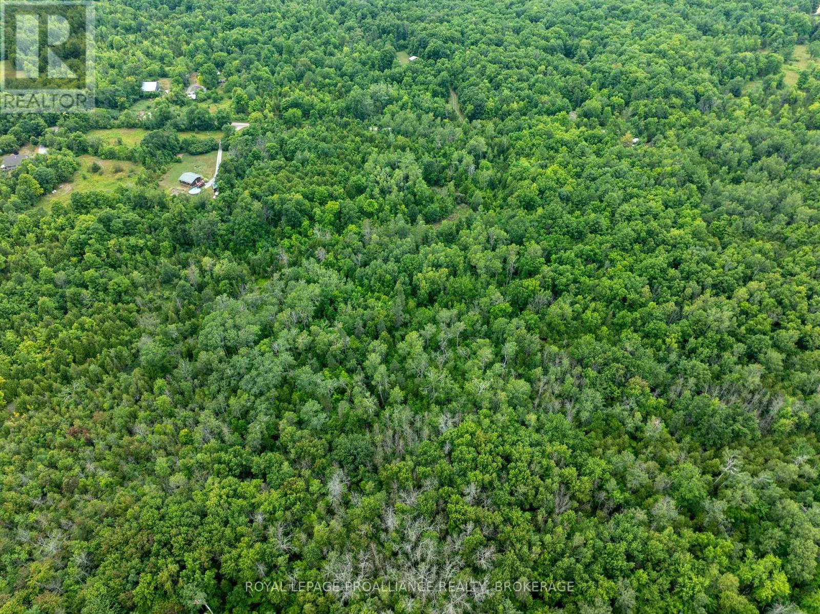 Pt Lt 14 Henderson Road, Greater Napanee (Greater Napanee), ON