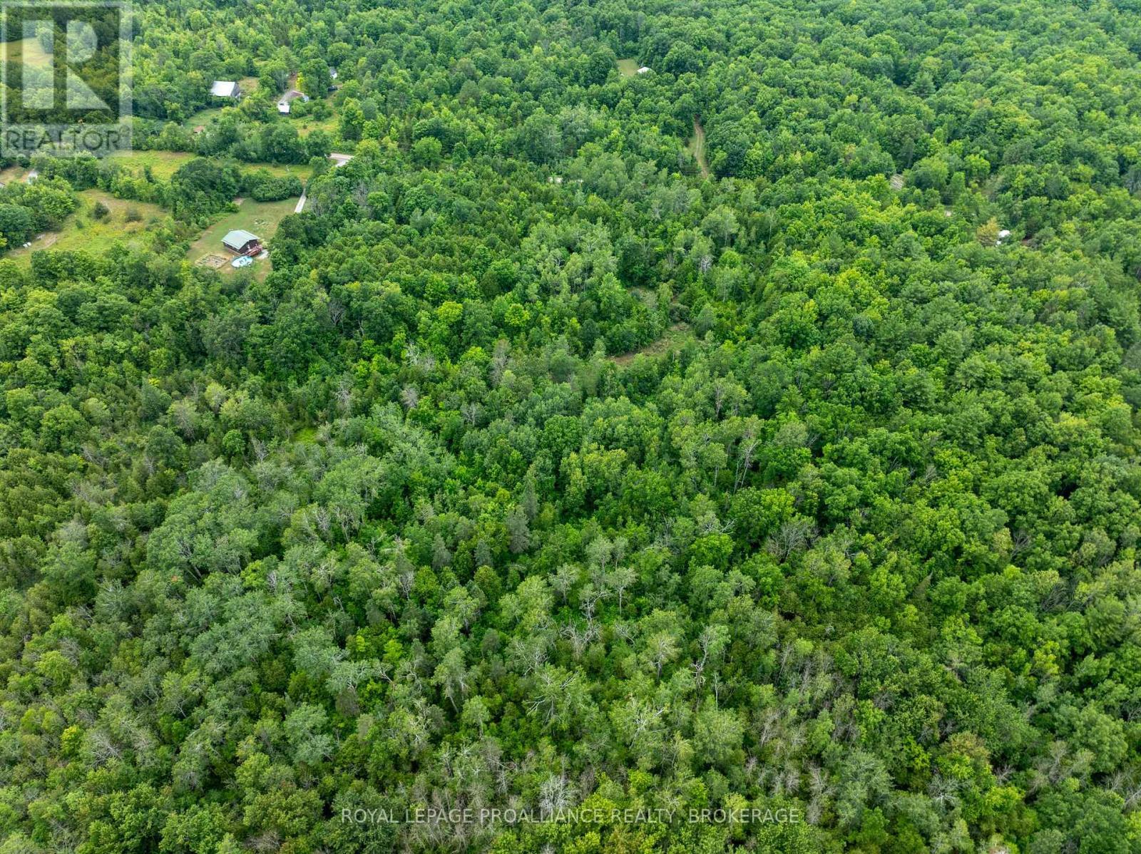 Pt Lt 14 Henderson Road, Greater Napanee (Greater Napanee), ON