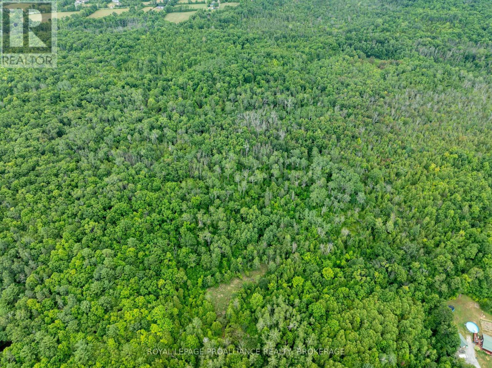 Pt Lt 14 Henderson Road, Greater Napanee (Greater Napanee), ON