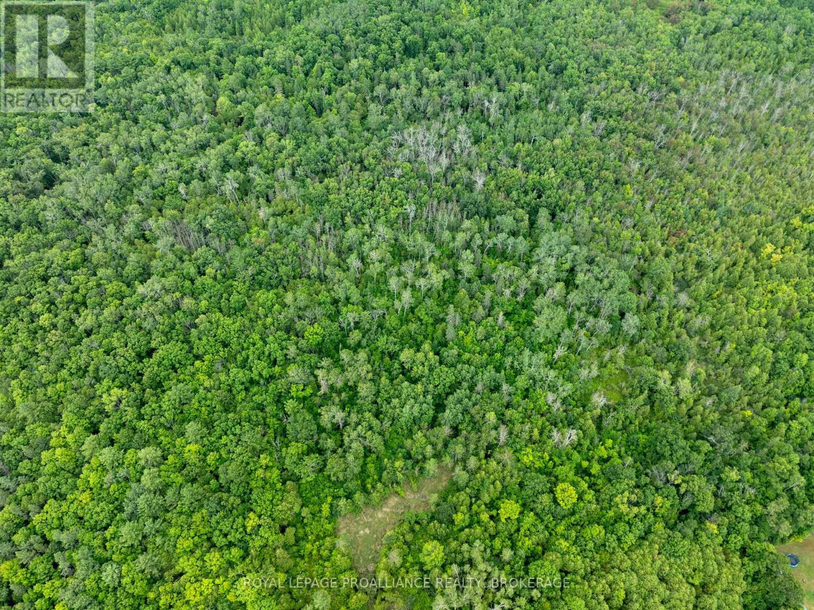 Pt Lt 14 Henderson Road, Greater Napanee (Greater Napanee), ON