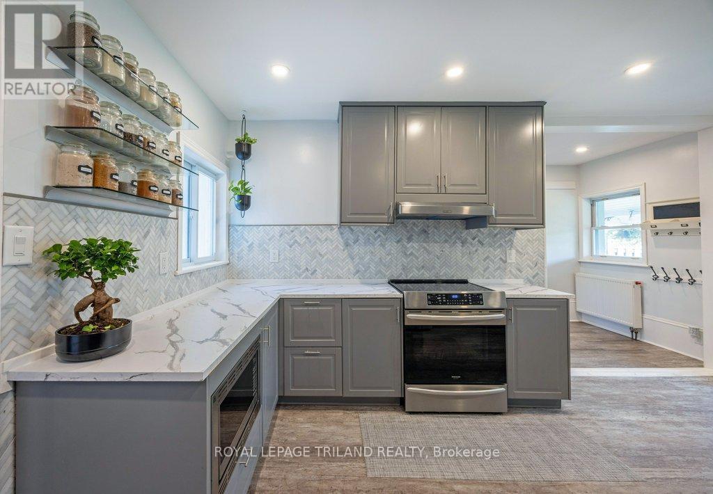 217 Shackleton Line, Dutton/Dunwich (Dutton), ON - Indoor Photo Showing Kitchen With Upgraded Kitchen
