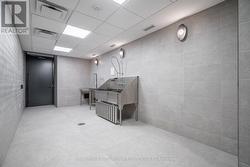 Pet Wash & Grooming -