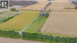 12180 Ridge LINE Ridgetown, ON N0P 2C0