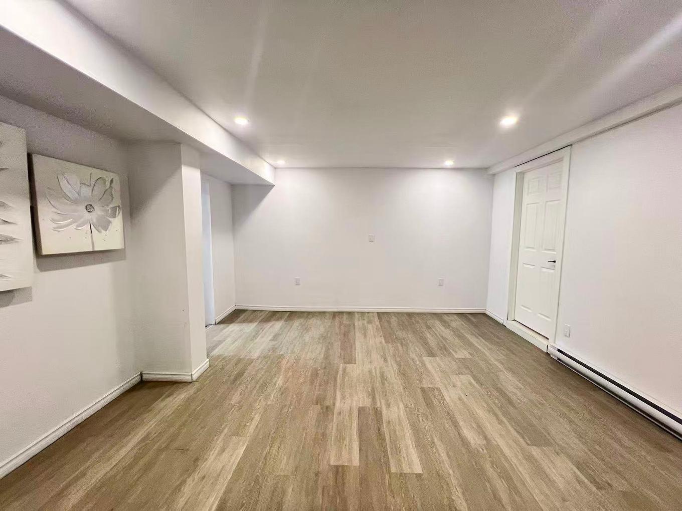 Sous-sol - 6617 Rue Mazarin, Montréal (Le Sud-Ouest), QC - Indoor