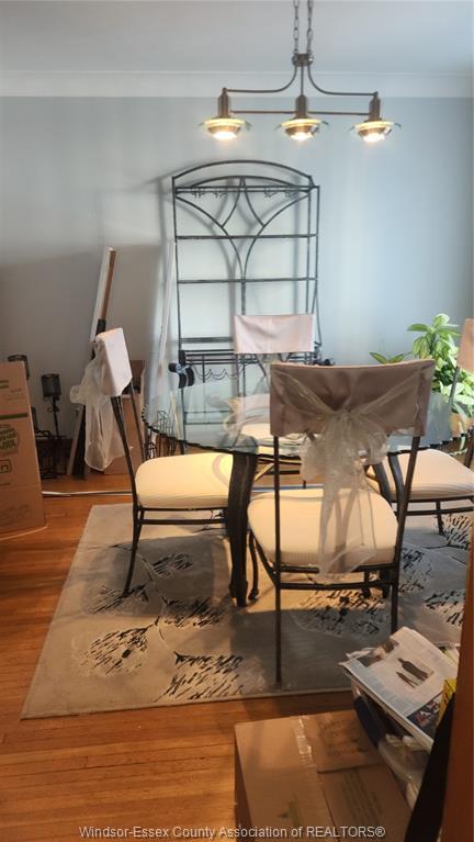 1385 Hall, Windsor, ON