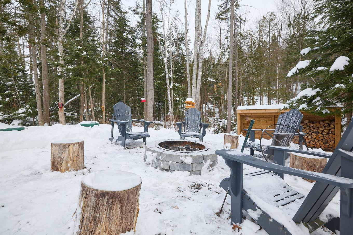 Cour - 425Z Ch. Au Cap Blomidon, Saint-Donat, QC - Outdoor