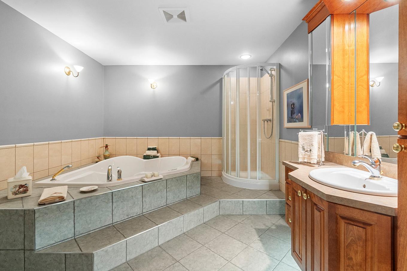 Salle de bains - 7568 Rue De La Sarcelle, Lévis (Les Chutes-De-La-Chaudière-Est), QC - Indoor Photo Showing Bathroom