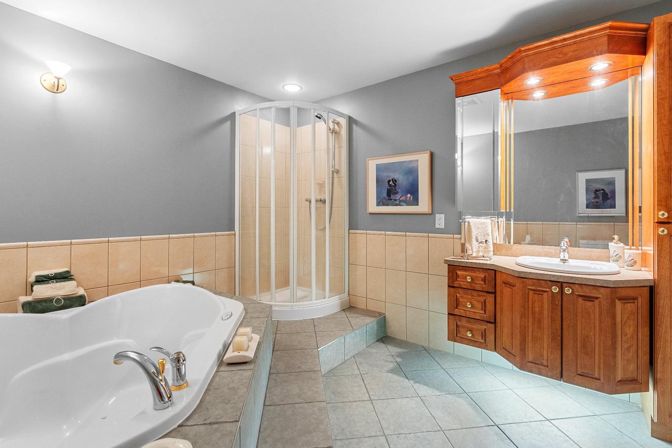 Salle de bains - 7568 Rue De La Sarcelle, Lévis (Les Chutes-De-La-Chaudière-Est), QC - Indoor Photo Showing Bathroom