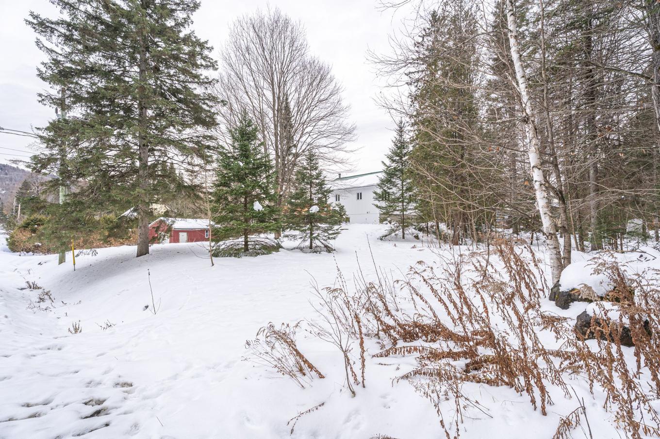 View - 670 Rue Des Maisonnettes, Sainte-Adèle, QC - Outdoor With View