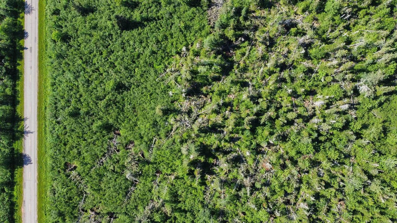 Acreage Strathcona Road, Forest Hill, PE