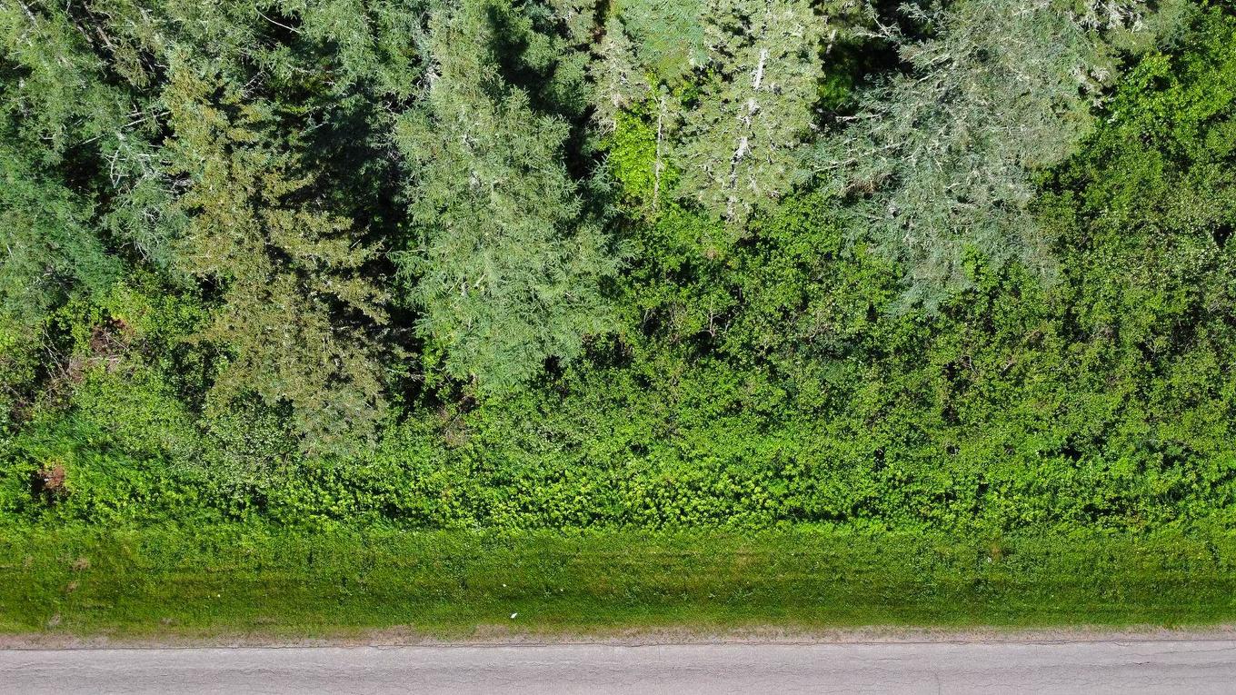 Acreage Strathcona Road, Forest Hill, PE