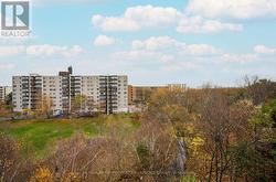 East tree top view from balcony -