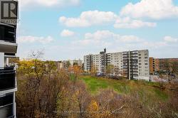 East tree top view from balcony -
