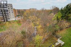 Balcony view of creek in ravine. -