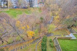 Balcony view of creek below -