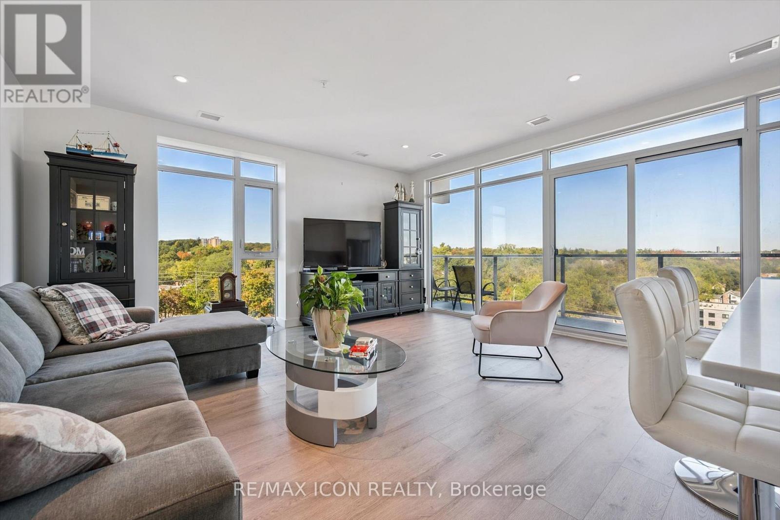 902 - 15 Glebe Street, Cambridge, ON - Indoor Photo Showing Living Room