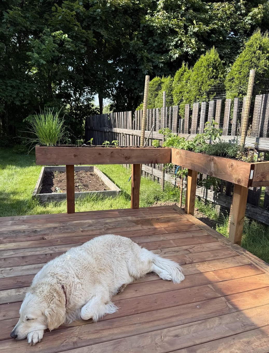 411 Robie Street, Truro, NS