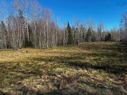Highway 236 Scotch Village, NS B0N 2A0