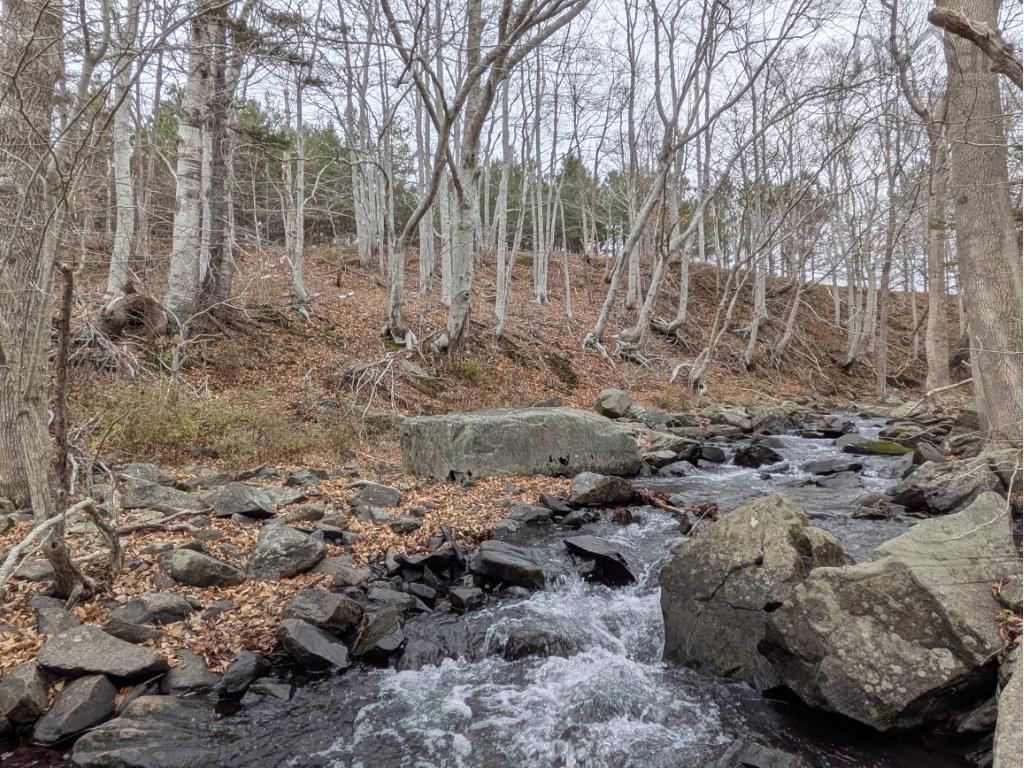 6903 Highway 101, Gilberts Cove, NS