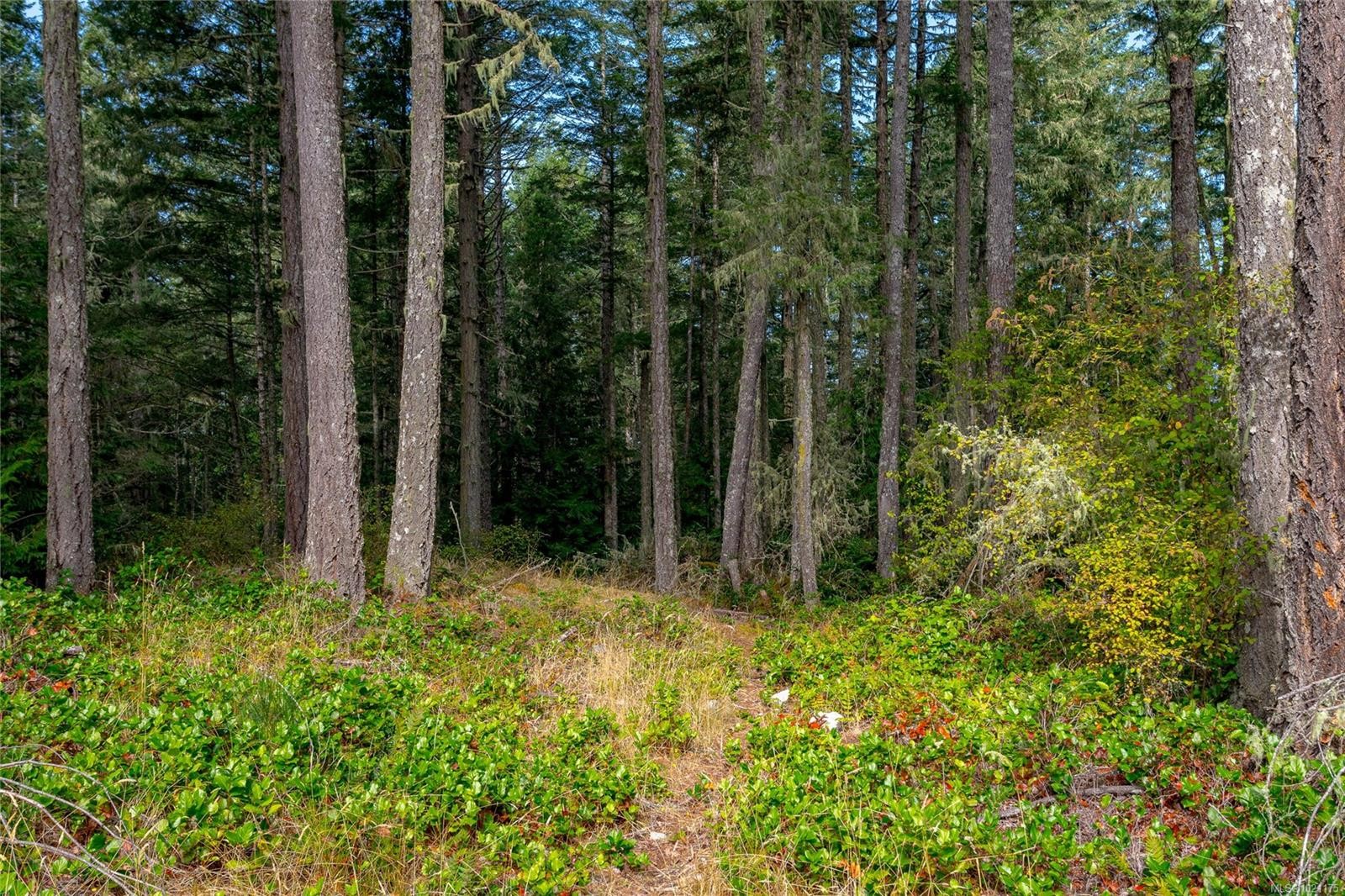 1668 Cole Rd, Sooke, BC