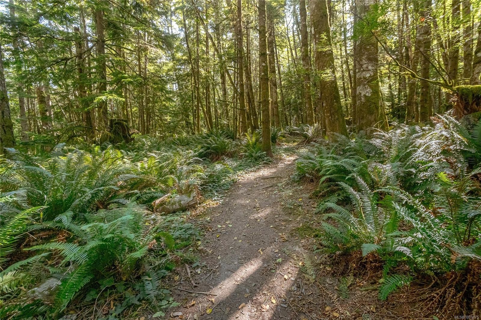 1668 Cole Rd, Sooke, BC