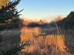 Lot Rue Principale Tracadie, NB E1X 1E3