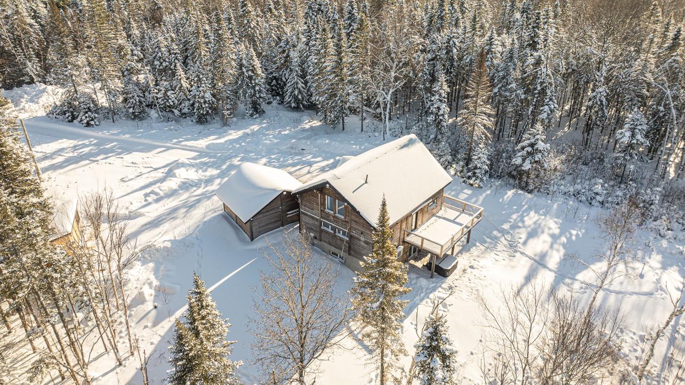 Overall view - 397 Ch. Du Village-Manitou, Ivry-Sur-Le-Lac, QC - Outdoor