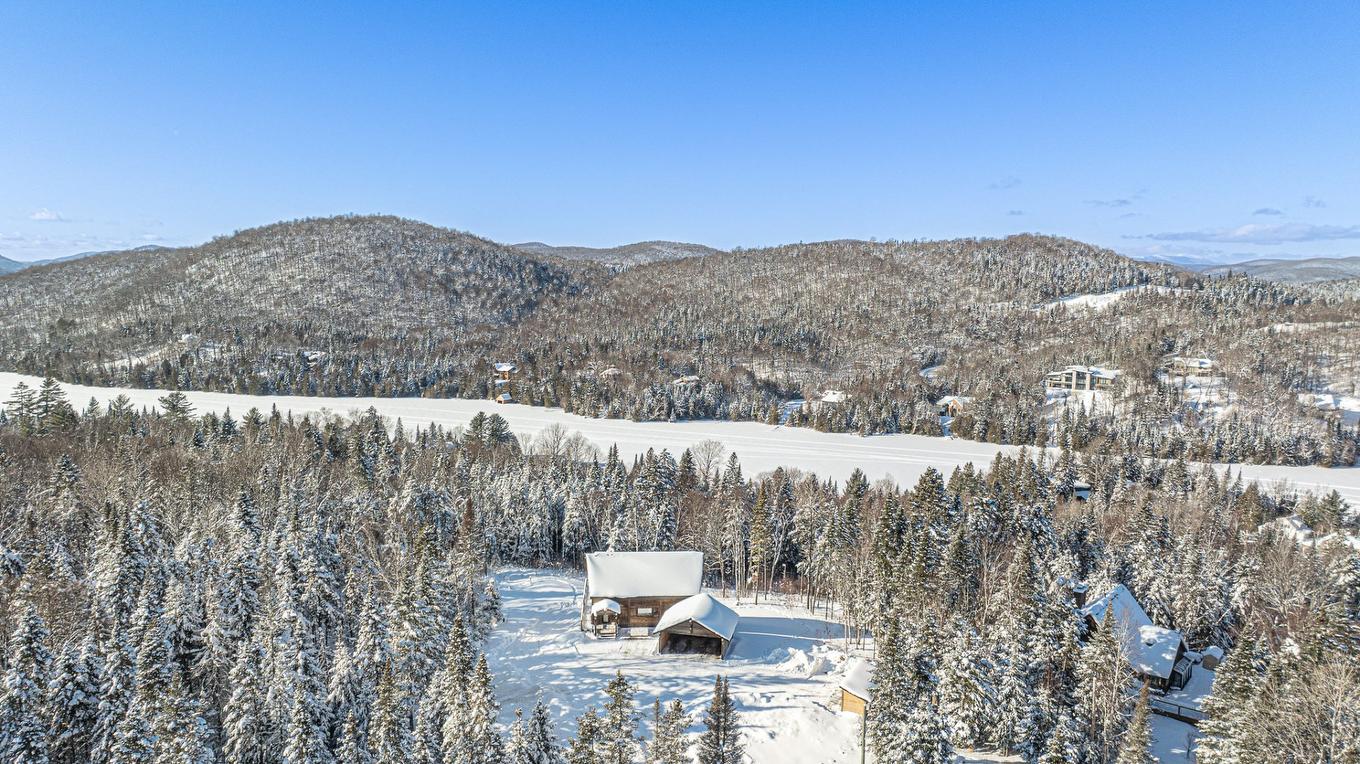 Overall view - 397 Ch. Du Village-Manitou, Ivry-Sur-Le-Lac, QC - Outdoor With View