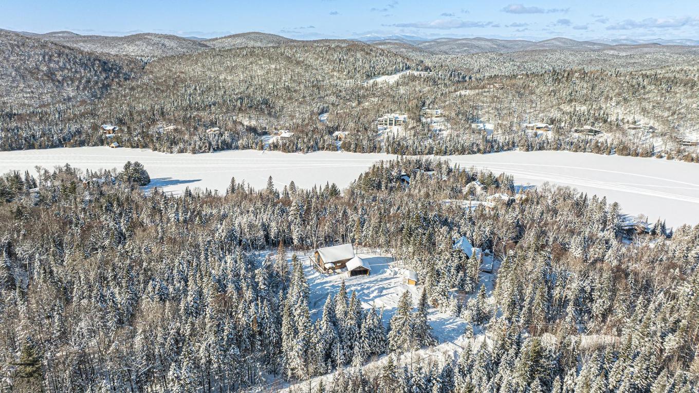 Overall view - 397 Ch. Du Village-Manitou, Ivry-Sur-Le-Lac, QC - Outdoor With View