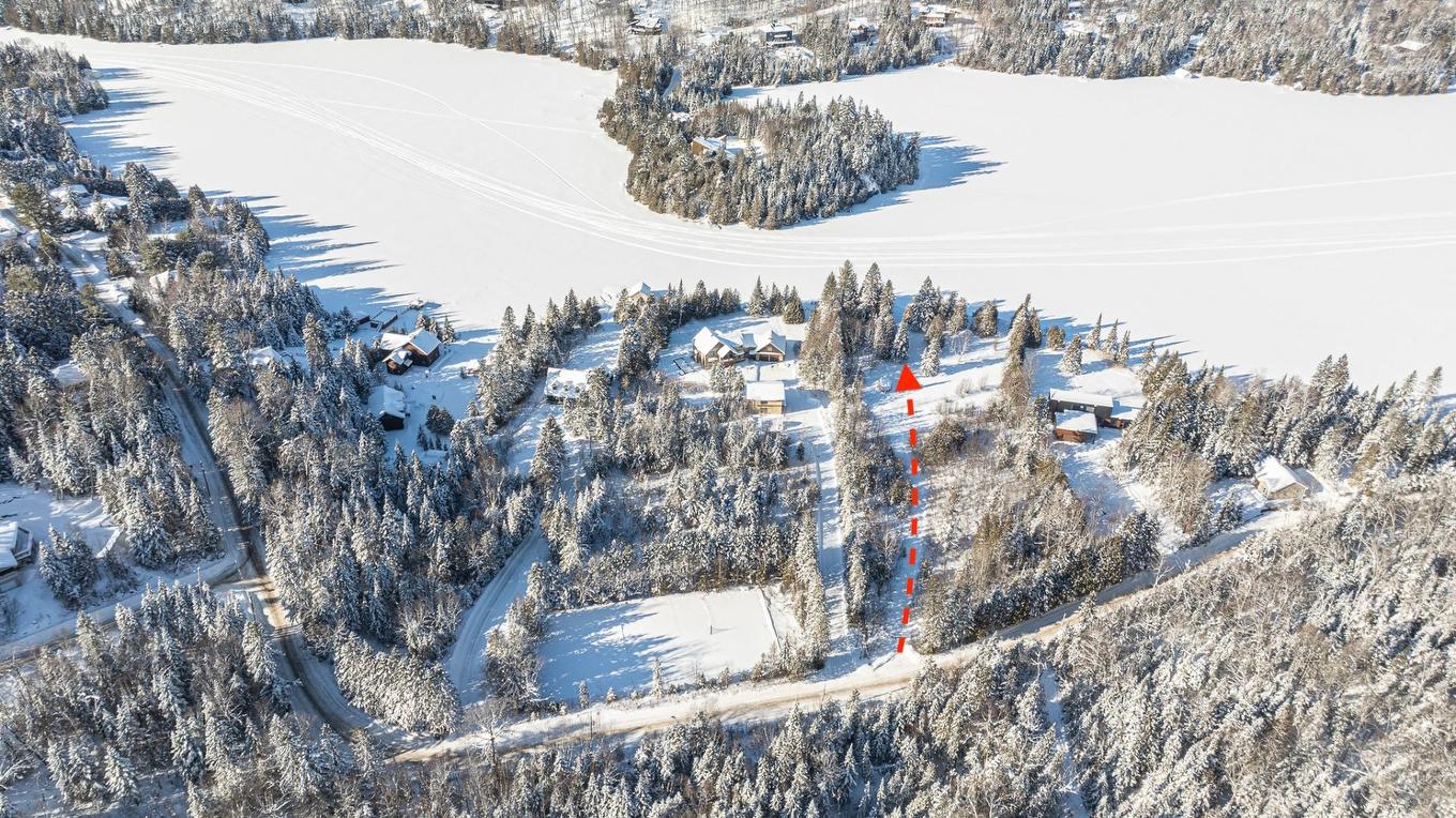 Overall view - 397 Ch. Du Village-Manitou, Ivry-Sur-Le-Lac, QC - Outdoor With View