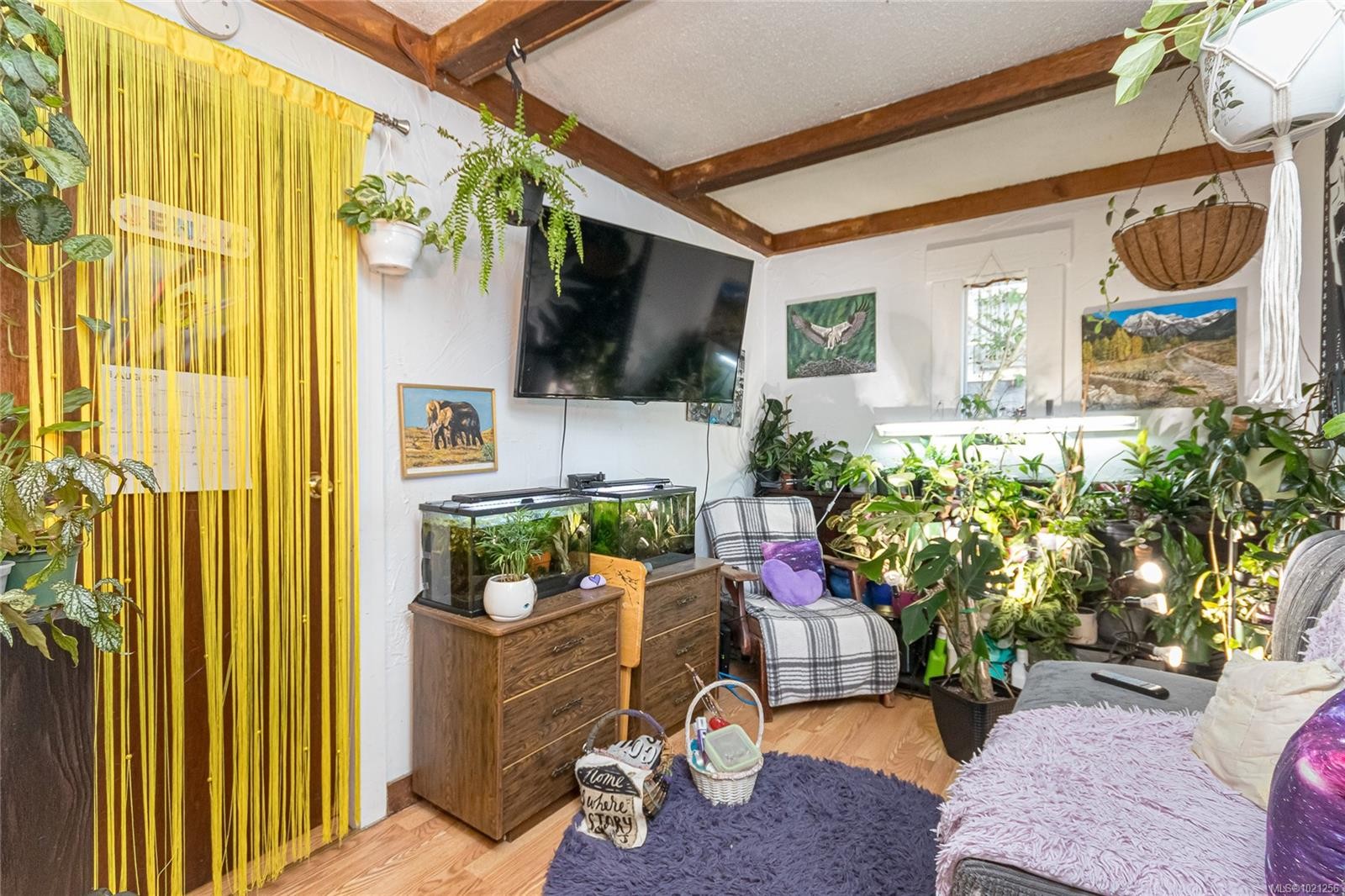 1645 Haultain St, Victoria, BC