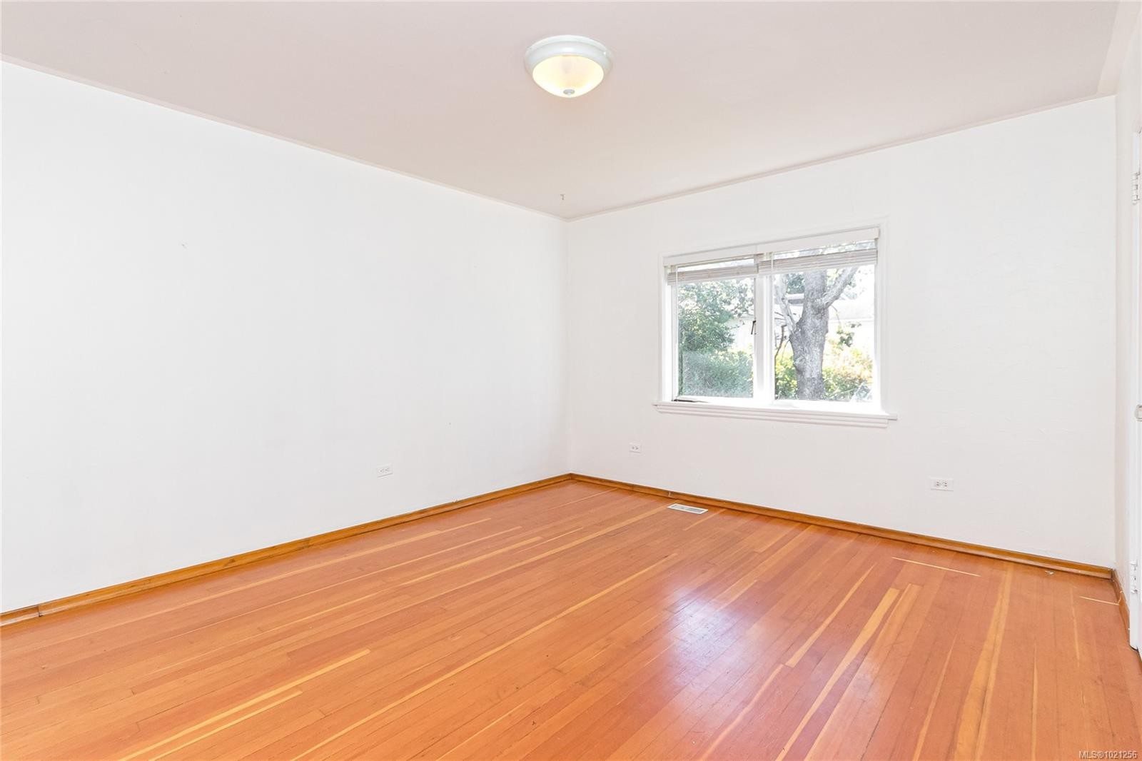 1645 Haultain St, Victoria, BC