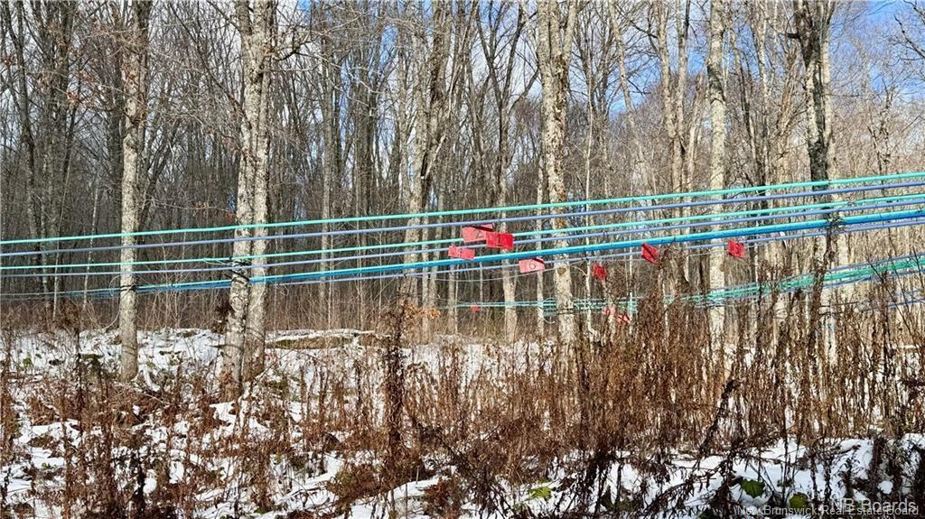 Na Woods Rd, Kedgwick, NB