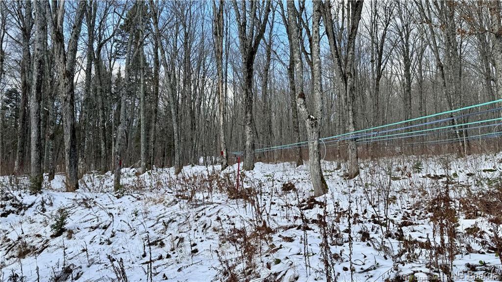 Na Woods Rd, Kedgwick, NB