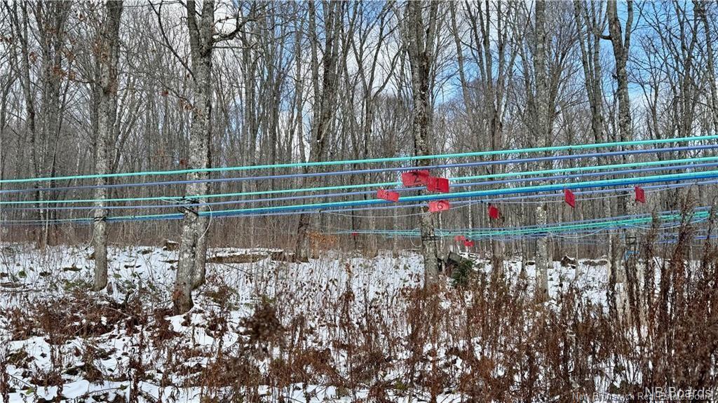Na Woods Rd, Kedgwick, NB