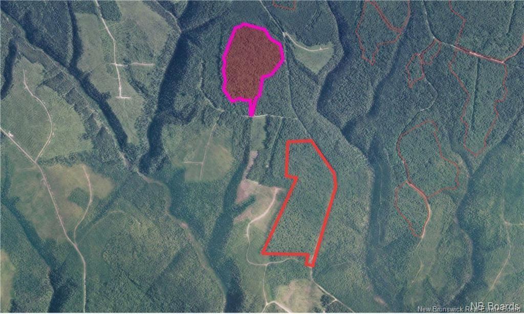 Na Woods Rd, Kedgwick, NB