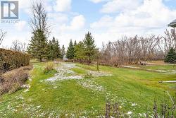 back yard leading to raisin river -