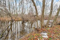 Raisin river -