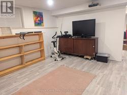 Basement media room -