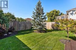 Landscaped Backyard -