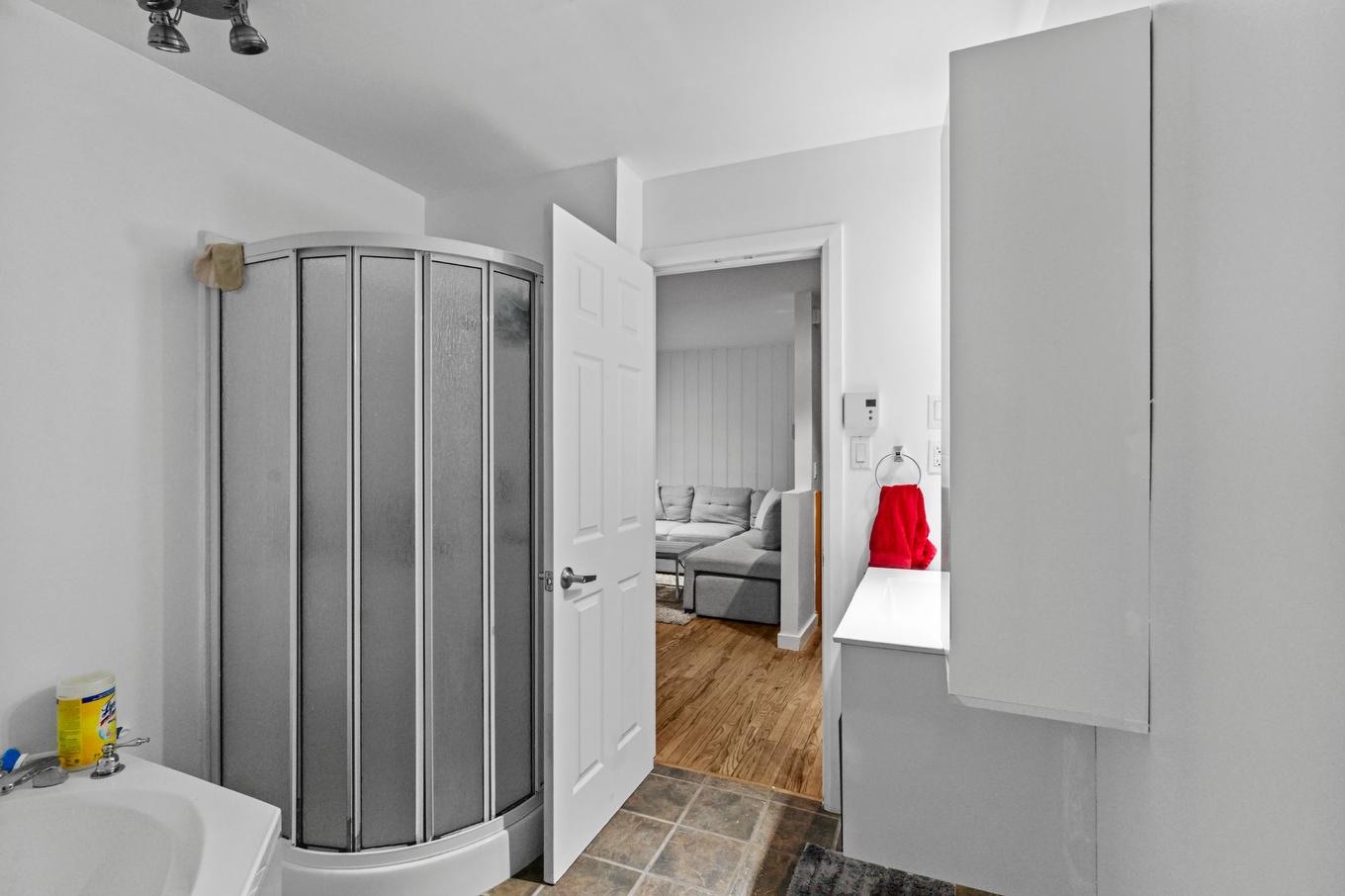 Salle de bains - 1581 - 1583 Rue Murray, Sainte-Agathe-Des-Monts, QC - Indoor Photo Showing Bathroom