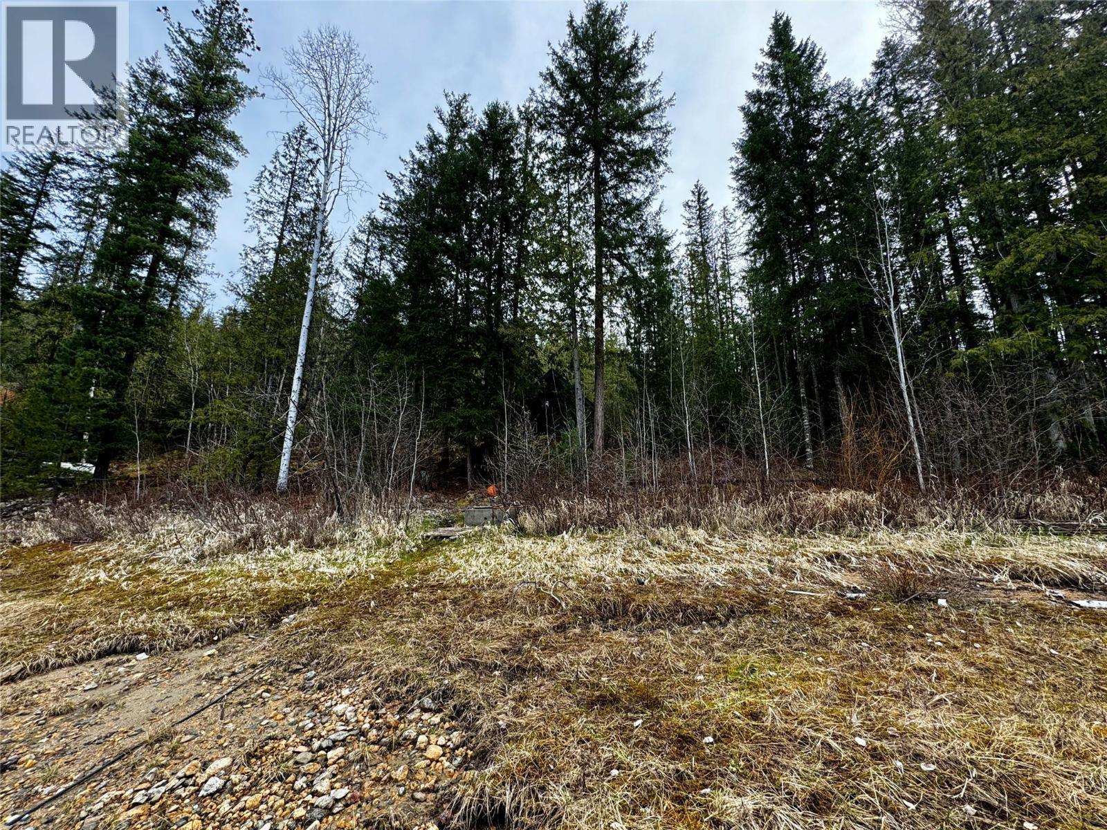 Lot 9 Pete Martin Bay, Sicamous, BC - Outdoor With View