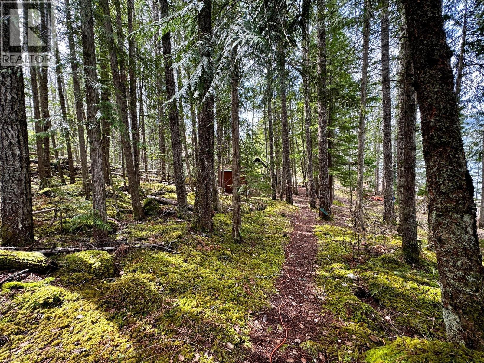 Lot 9 Pete Martin Bay, Sicamous, BC - Outdoor