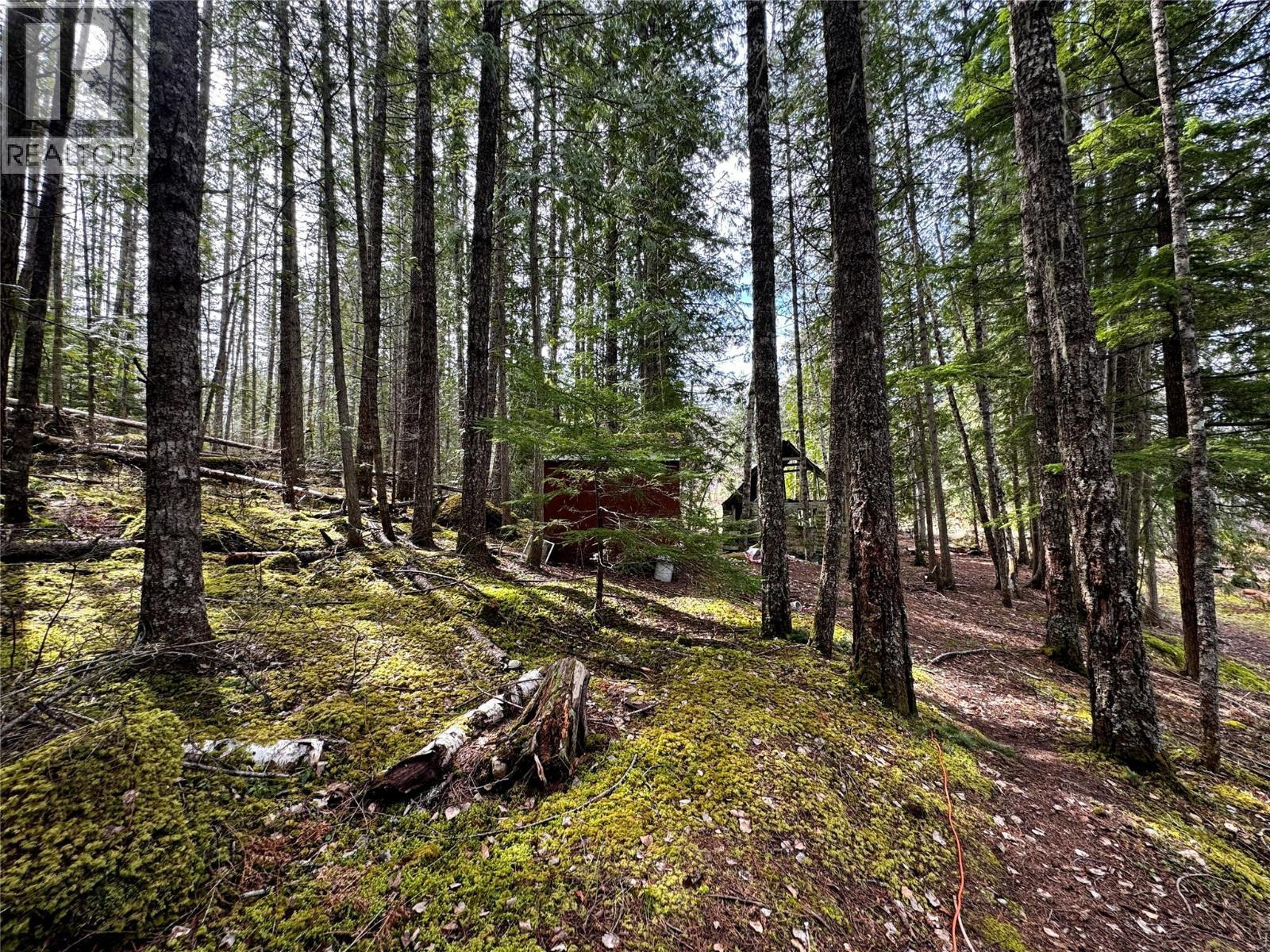 Lot 9 Pete Martin Bay, Sicamous, BC - Outdoor With View