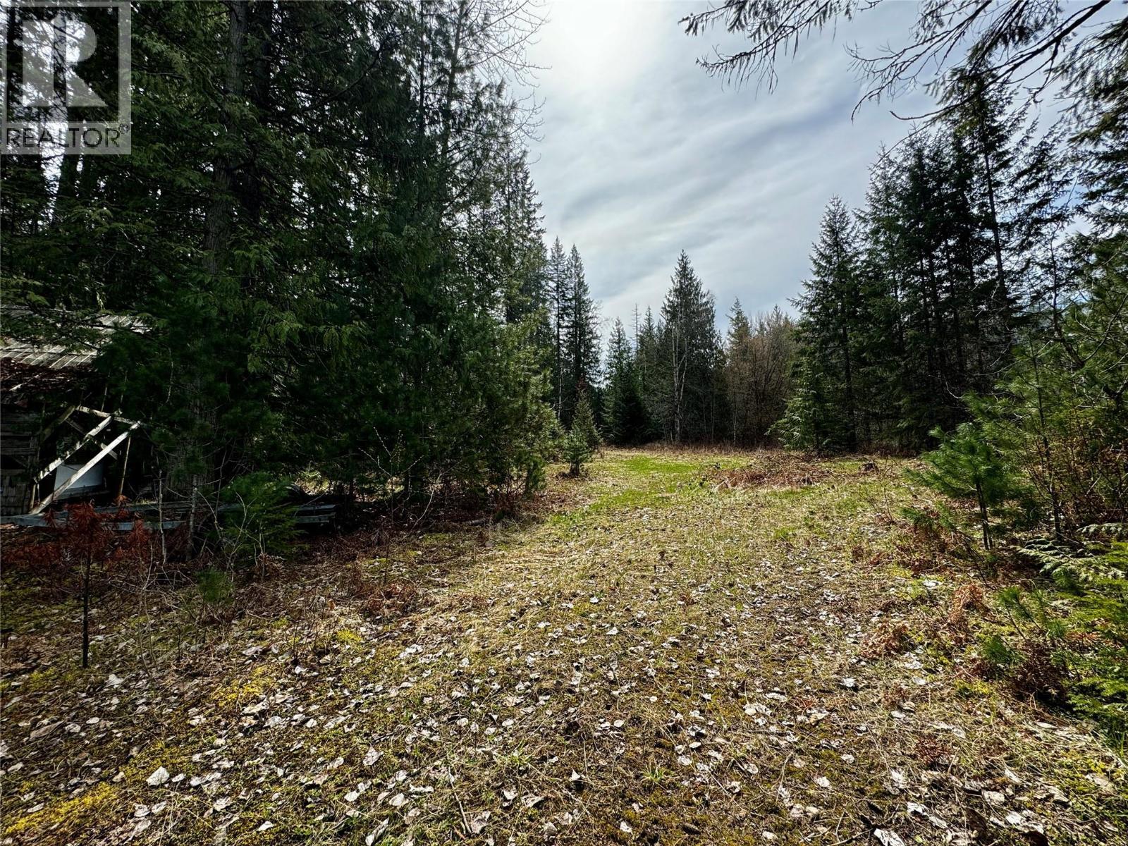 Road Easement - Lot 9 Pete Martin Bay, Sicamous, BC - Outdoor