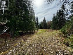 Road Easement -